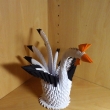 kohoutek