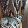 poledn� klid...jako ve �kolce