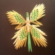 motl