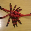 �korpion