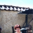 tata Azitky