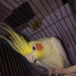 Pepa (21 let) 2021